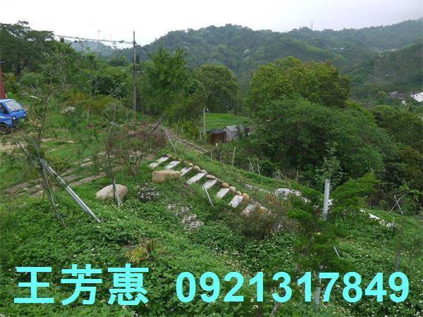 台中東勢農地-12