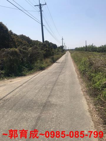 水上農地-2