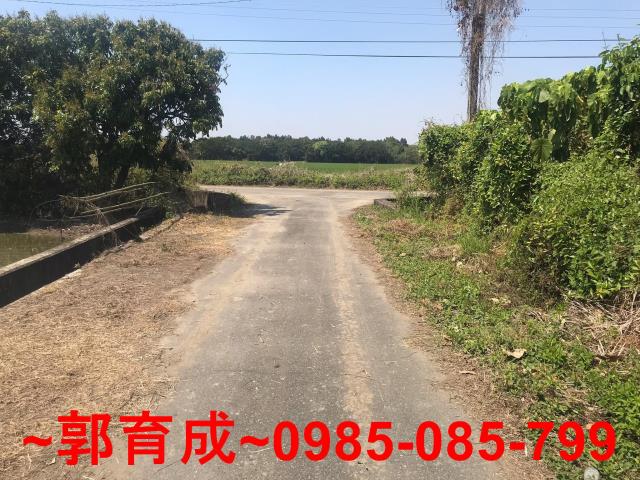 水上農地-6