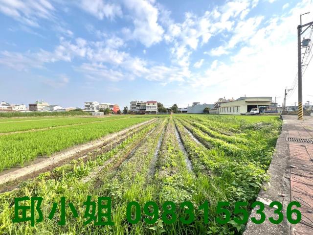 大林農地-1