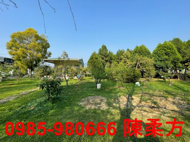 嘉義農地-11