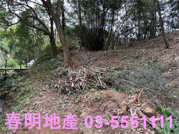 新竹關西農地-4