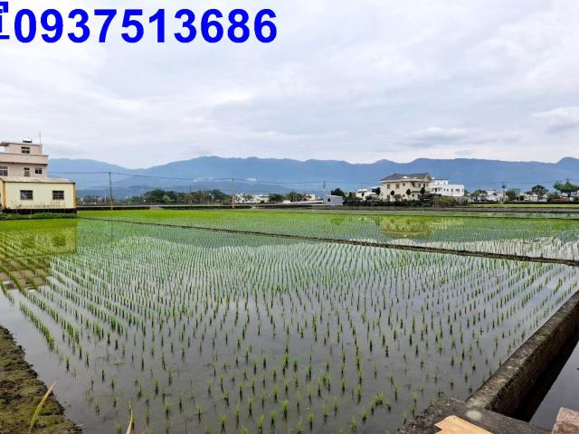 壯圍農地-5