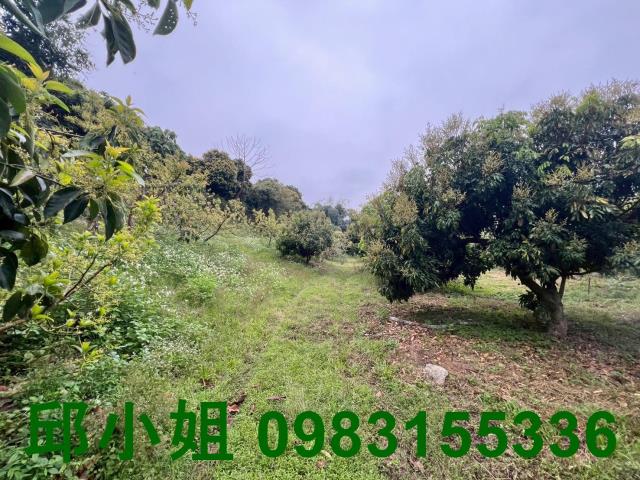 嘉義農地-7