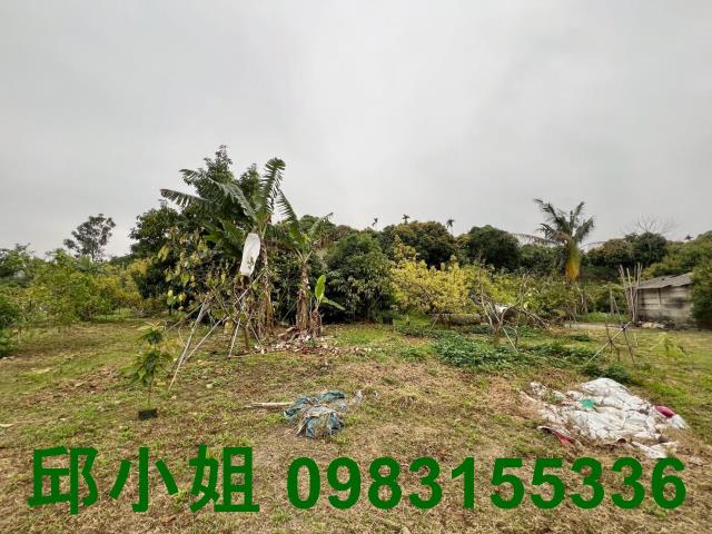 嘉義農地-8
