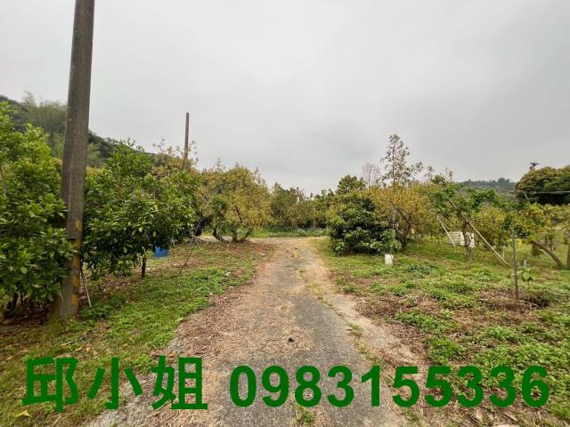嘉義農地-9