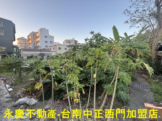 台南永康建地-5