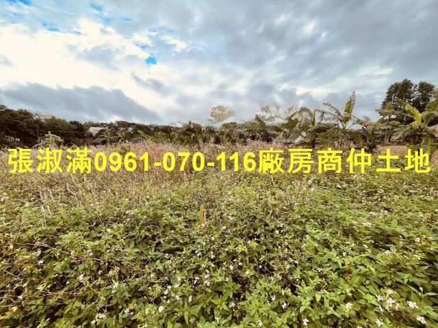 桃園農地-3