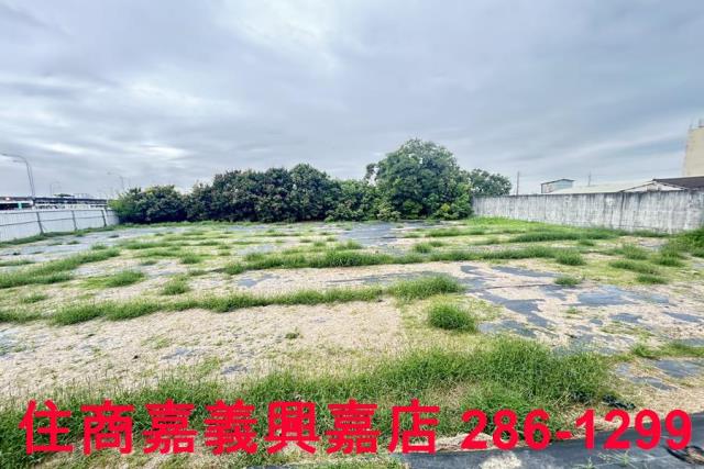 民雄農地-2