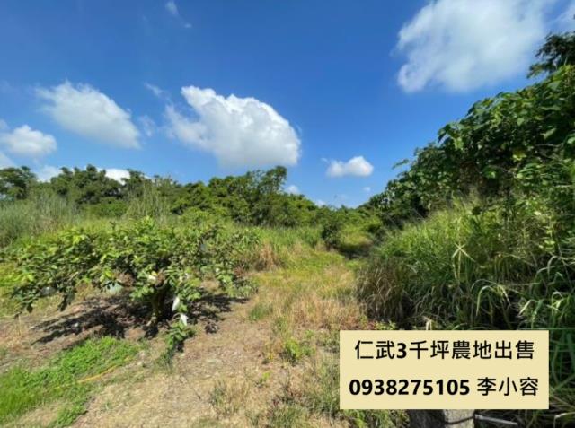 高雄仁武農地-1