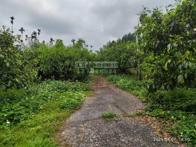 番路農地-6