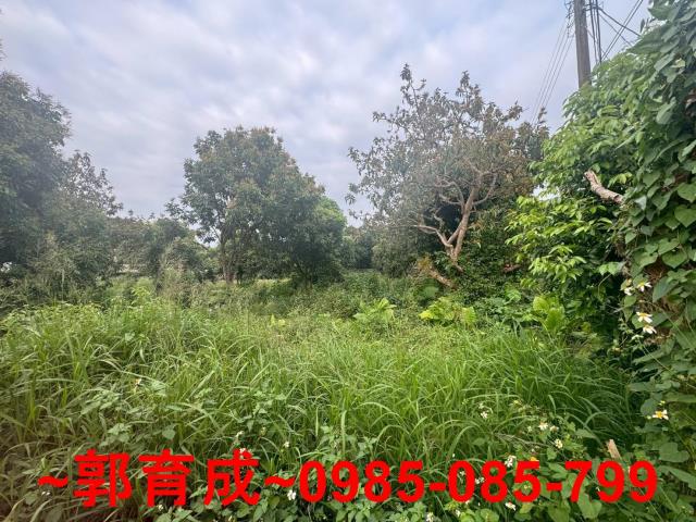 嘉義農地-6