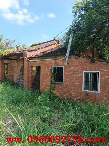 新竹峨眉農地-1