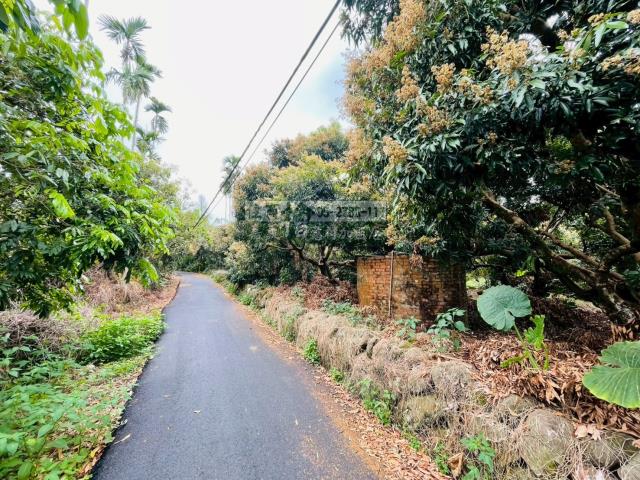 竹崎農地-10