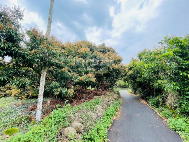 竹崎農地-7