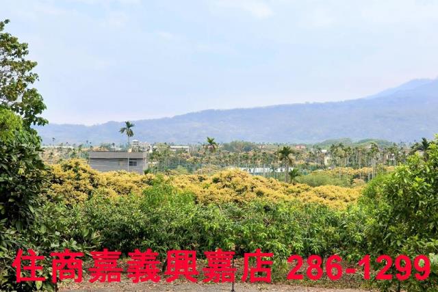 嘉義農地-10