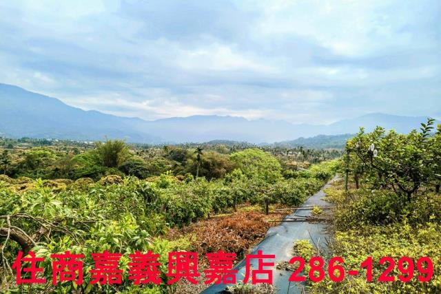 嘉義農地-11