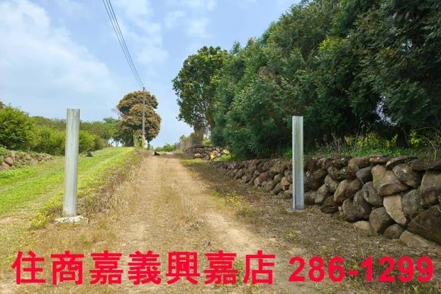 嘉義農地-1