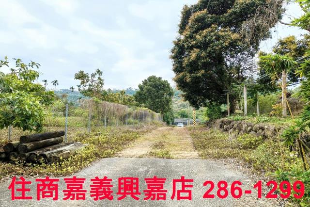 嘉義農地-2