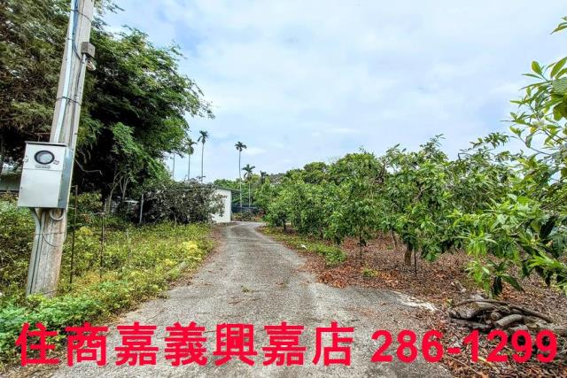 嘉義農地-3