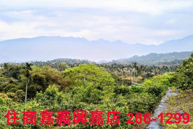 嘉義農地-8