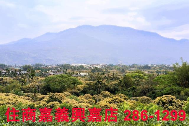 嘉義農地-9