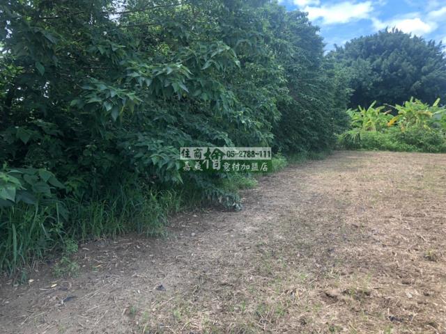 民雄農地-3