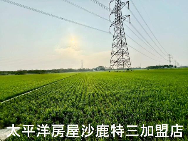 大肚農地-4