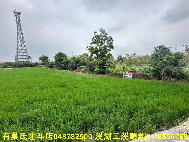 彰化二林農地-1
