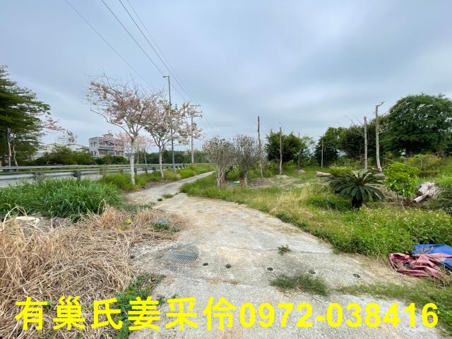 嘉義竹崎農地-11