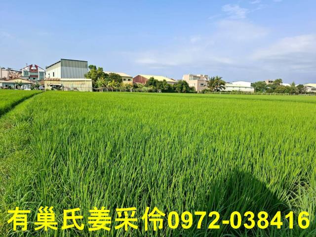 嘉義西區農地-10