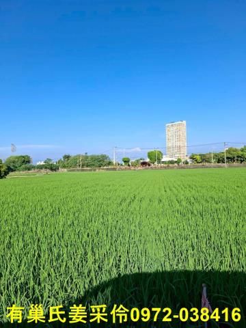 嘉義西區農地-1