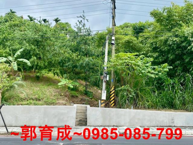 嘉義東區農地-1