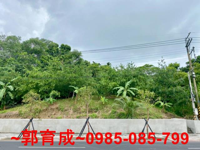 嘉義東區農地-5