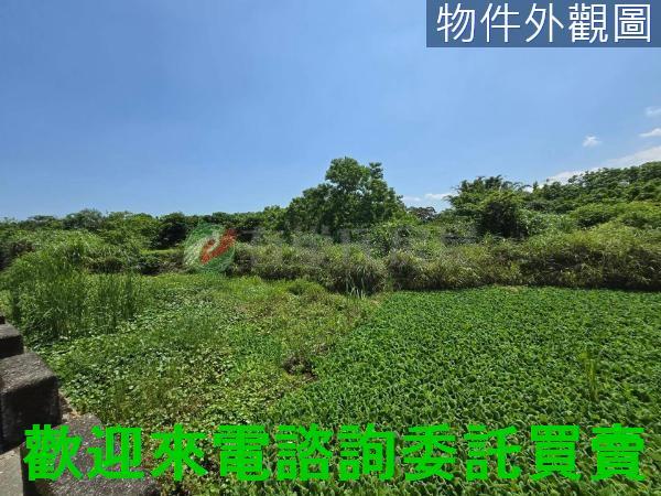三芝都市計畫土地-2