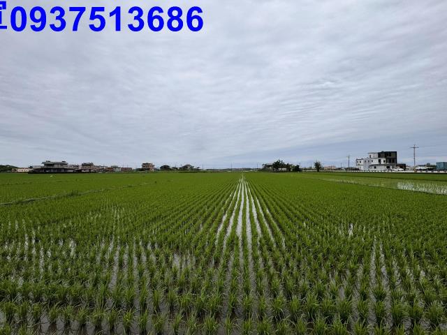 宜蘭壯圍農地-3
