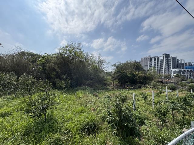 中壢農地-5