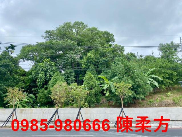 東區農地-1