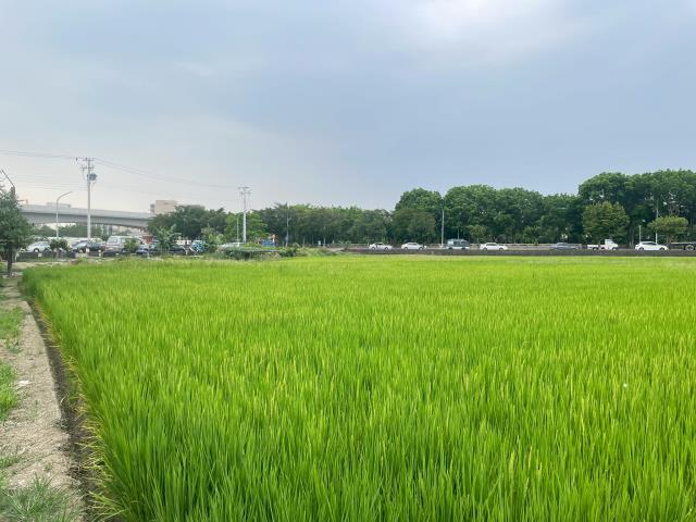 嘉義西區農地-4