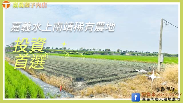 水上農地-1