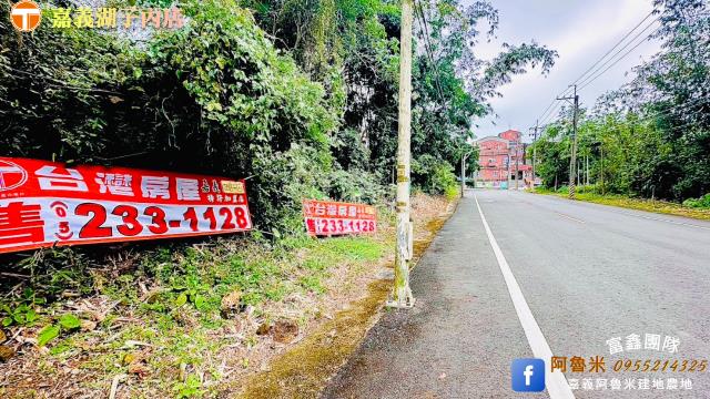 大埔農地-2
