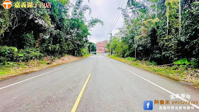 大埔農地-6