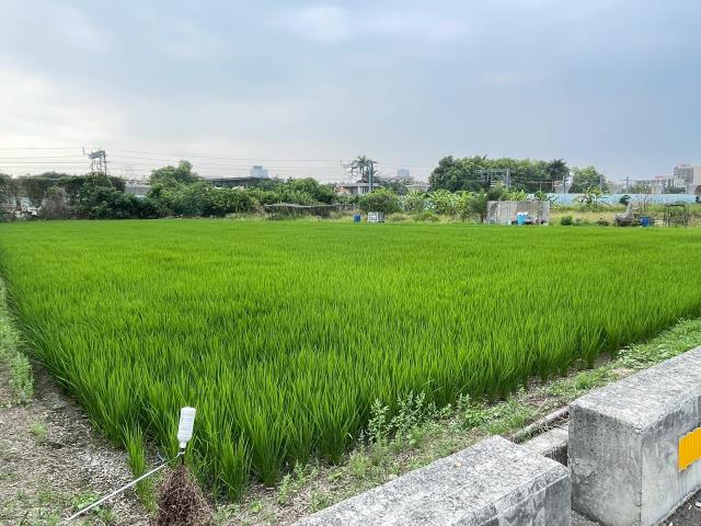 西區農地-2