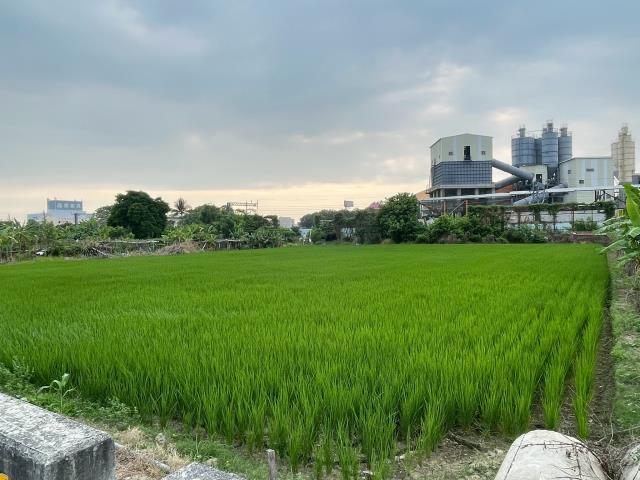 西區農地-4
