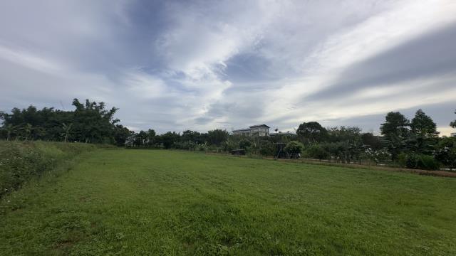 桃園中壢農地-1
