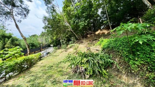 北埔休閒地-6