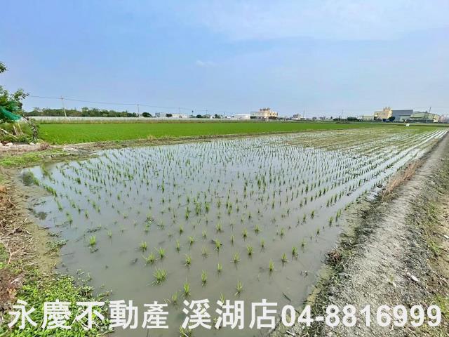 彰化埔鹽農地-12