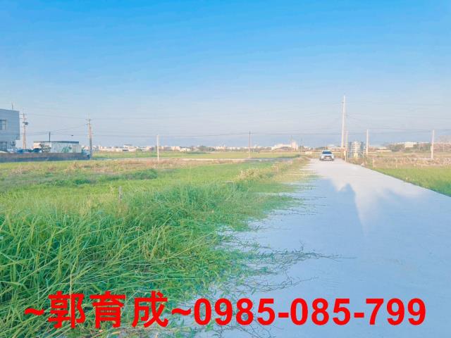 水上農地-3