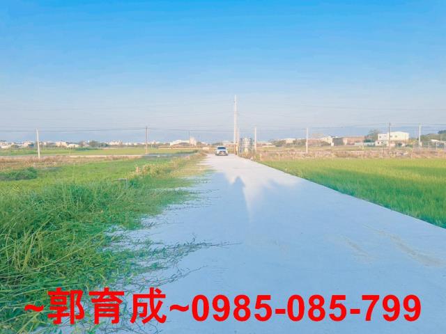 水上農地-4