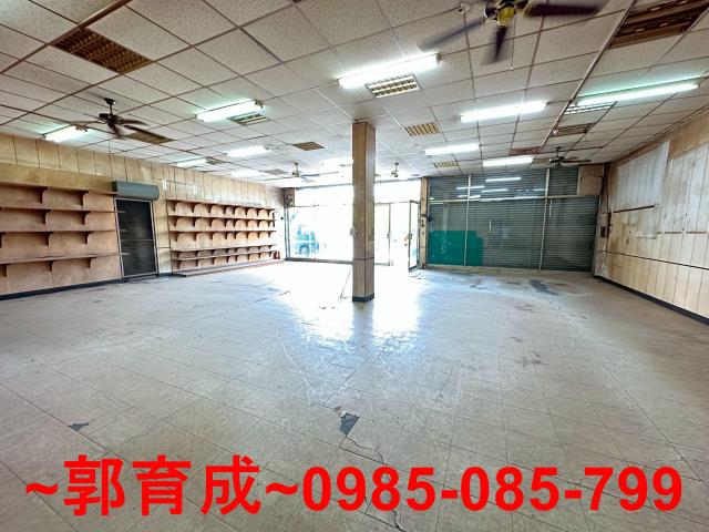 竹崎農地-9